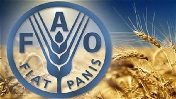 30% من حجم تداول الأسمدة عالميًا تمر عبر مضيق هرمز