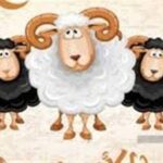 4 أيام إجازة متواصلة.. موعد عيد الأضحى 2026 ووقفة عرفات فلكيًا في مصر