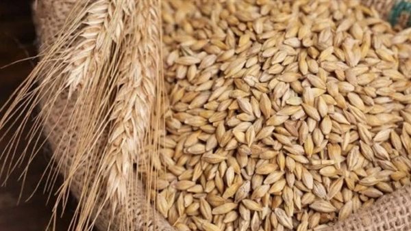 أسعار الأرز الشعير اليوم الأحد 26 أبريل 2026 استقرار ملحوظ بالأسواق