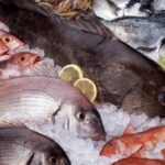 أسعار الأسماك اليوم الأربعاء 29 أبريل 2026 في سوق العبور للجملة.. البلطي والجمبري يتصدران المشهد