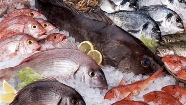 أسعار الأسماك اليوم الأربعاء 29 أبريل 2026 في سوق العبور للجملة.. البلطي والجمبري يتصدران المشهد