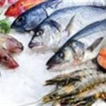 أسعار الأسماك اليوم الإثنين 27 أبريل 2026 بسوق العبور.. استقرار نسبي