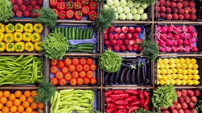 أفضل وقت لتناول الألياف.. دراسة تكشف فوائد التركيز عليها في وجبة الإفطار