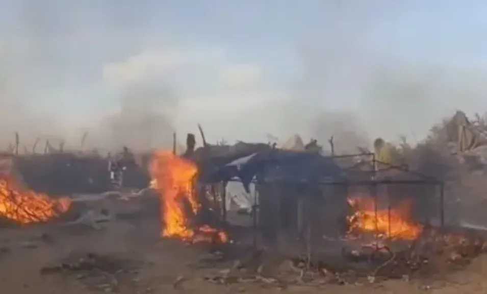 أمن أبين يفكك شبكات تهريب المهاجرين ويضبط 25 مهربًا ويدمّر معسكراتهم