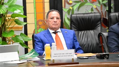 أمن واستقرار الإمارات جزء لا يتجزأ من منظومة الأمن القومي العربي