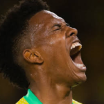 إستيفاو قد يغيب عن كأس العالم 2026