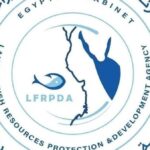 إنتاج مصر من الأسماك تجاوز 2 مليون طن سنويا 80% من الاستزراع