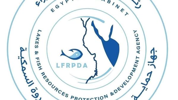 إنتاج مصر من الأسماك تجاوز 2 مليون طن سنويا 80% من الاستزراع