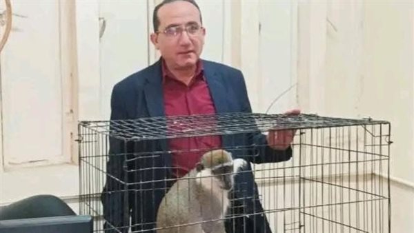 إيداع نسناس الزنكلون بحديقة حيوان الزقازيق بقرار من نيابة العامة