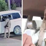 اختفاء غامض لسائق مع باصه في إب! الأسر تعلن مكافأة خيالية 4 مليون لمن يجده