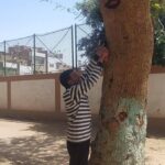 استمرار تركيب الأكواد التعريفية لأشجار مبادرة 100 مليون شجرة