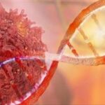 اقتراب علاج جديد للسرطان من مصر تصريحات تثير الأمل