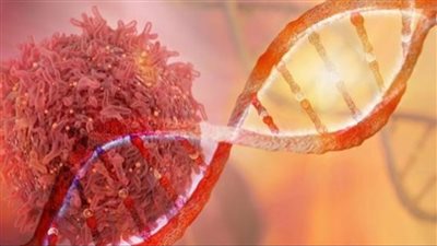 اقتراب علاج جديد للسرطان من مصر تصريحات تثير الأمل