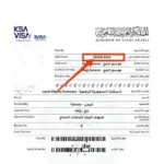 اكتمال إصدار تأشيرات حجاج اليمن لموسم 1447هـ