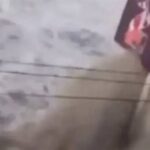 الأرصاد اليابانية تحذر من احتمال حدوث موجات تسونامي عقب هزات أرضية محتملة