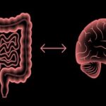 “الأمعاء والدماغ”.. دراسة توضح كيف تتحكم بكتيريا الأمعاء في المزاج والسعادة