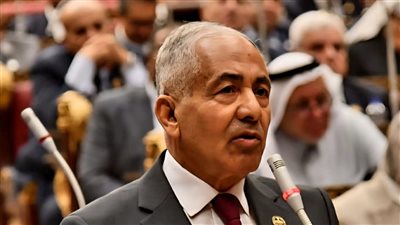 الأولمبياد هدفنا.. ومراكز الشباب تصنع أبطال مصر في كل المحافظات