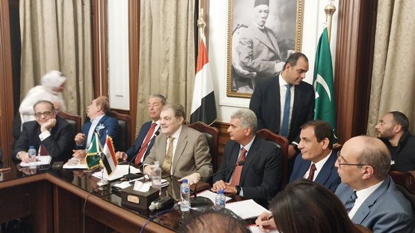 البدوى يدعو لإنشاء «محاكم طفل مستقلة» بعيدًا عن المحاكم الجزئية والاستئناف