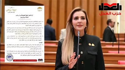 البرلمان يبحث عن حقوق الحكومة.. النائبة مروة بوريص تتحرك لحسم وتسوية مديونيات وزارة البترول والكهرباء