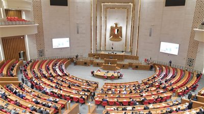 البرلمان يعقد أول جلسة استماع للتصدي لملف الأسرة المصرية.. اليوم