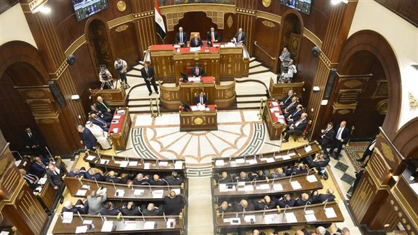 "التنسيقية" تفتح ملف استعداد مصر لأولمبياد 2028 بمجلس الشيوخ