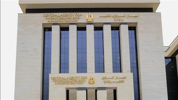 «التنظيم والإدارة» يفتح باب التقديم للتعاقد مع 1864 إماما وخطيبا ومدرسا بوزارة الأوقاف