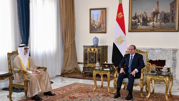 الرئيس السيسي يؤكد رفض مصر لأي مساس بسيادة الكويت ويشدد على تعزيز العلاقات الثنائية