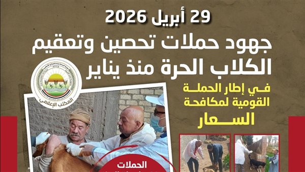 الزراعة تعلن تحصين 25 ألف كلب وتعقيم 2000 آخرين منذ مطلع 2026