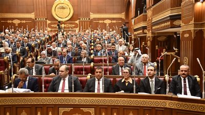 «المعاشات حق أصيل وليست منحة».. نواب الشيوخ يطالبون برفع الحد الأدنى للمعاشات أسوة بالأجور