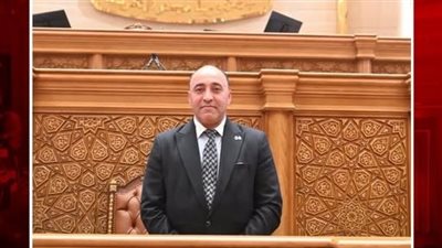النائب حسام حسن يتقدم بطلب إحاطة حول إدارة أصول مصر الجديدة للإسكان ويطالب بتوضيح مصير أراضٍ بمليارات الجنيهات