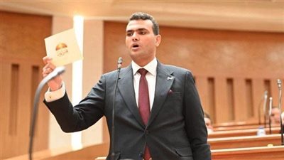 النائب حسين هريدي يطالب بكشف الموقف التنفيذي لمشروعات المسح السيزمي وخطط الاستكشاف البترولي