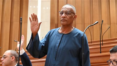 النائب مدحت ركابي يطالب بإنشاء وحدة إسعاف وإطفاء بقرية المنصورية في أسوان