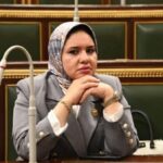 النائبة راوية مختار تتقدم بطلب إحاطة بشأن انتشار الكلاب الضالة وخطورتها على المواطنين