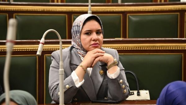 النائبة راوية مختار تتقدم بطلب إحاطة بشأن انتشار الكلاب الضالة وخطورتها على المواطنين