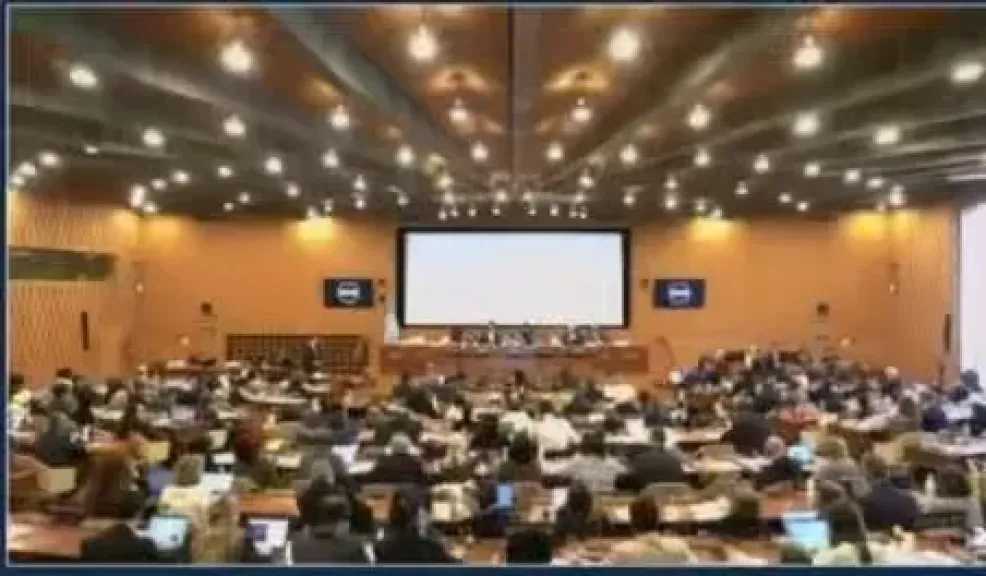 اليونسكو تقر خطة لدعم اليمن بـ 48 مليون دولار في قطاعات التراث والتعليم والإعلام