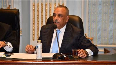 بالتوافق.. اختيار الطماوي أمينًا للجنة التشريعية بالمجلس القومي لحقوق الإنسان