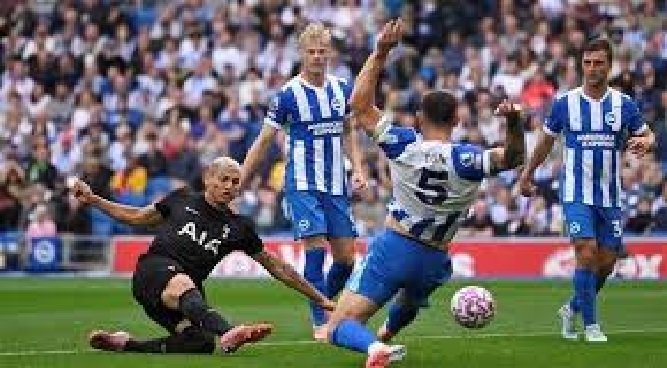 بث مباشر.. شاهد مباراة توتنهام وبرايتون في الدوري الإنجليزي