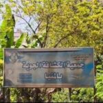 بقينا في الشارع .. شباب الكشافة يستغيث بعد طردهم وتدمير مقرهم بالمنيا