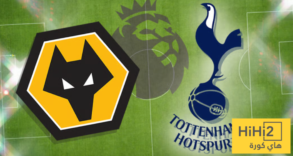 تاريخ مواجهات توتنهام وولفرهامبتون في الدوري الإنجليزي