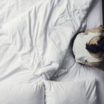 تحذير طبي.. أخطر الساعات على القلب.. 4 أمراض تهدد الحياة مع بداية اليوم