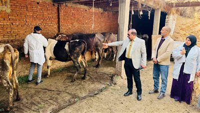 تحصين 176 ألف رأس ماشية ضمن الحملة القومية لمكافحة الجلد العقدي وجدري الأغنام