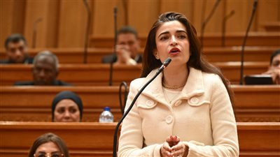 «تسعير عقابي يدفع للتحايل»| خاص