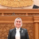 تكلفة تتجاوز 30 ألف جنيه.. طلب إحاطة بالنواب لواجهة أزمة نقص فصائل الدم النادرة