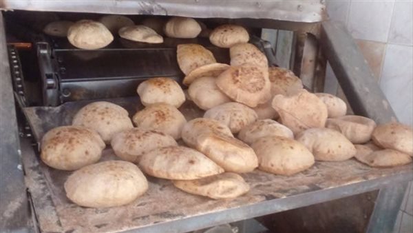 تموين القليوبية يضبط مخالفات بالمخابز والأسواق خلال حملات مفاجئة