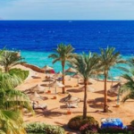 جرين شرم.. مشروع تحويل شرم الشيخ لأكبر مدينة خضراء في مصر