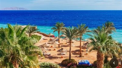 جرين شرم.. مشروع تحويل شرم الشيخ لأكبر مدينة خضراء في مصر