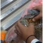 جمارك مطار القاهرةتفتش حقيبة مسافر قادم من عدن وتعثر على مفاجأة صادمة (صور)