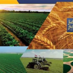 جهاز «مستقبل مصر» يعزز جاذبية الاستثمار ويحفّز مشاركة القطاع الخاص