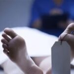 جوزها مات من 40 يومًا.. أم تضحي بحياتها لإنقاذ نجلها من الموت بالجيزة| تفاصيل