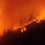 حريق غابات واسع في جنوب النمسا يمتد إلى 110 هكتارات وجهود مكثفة للسيطرة عليه